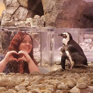 Meet your Posher, Audrey